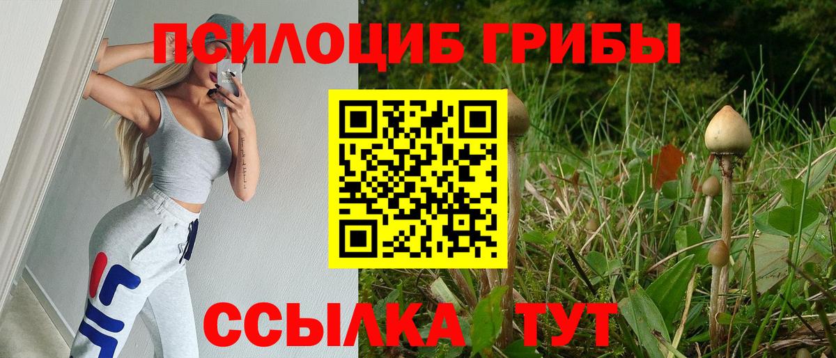 Анжеро-Судженск  Псилоцибиновые грибы мицелий  Вход с VPN 